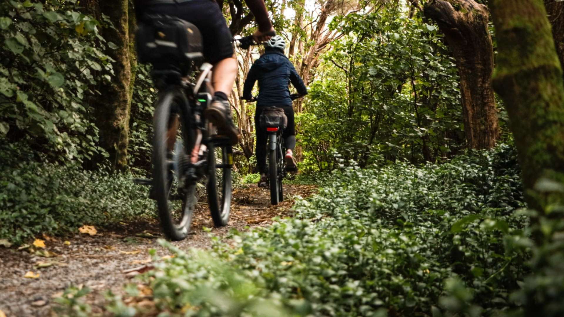 Rimutaka Cycle Trail - Pakuratahi Forest